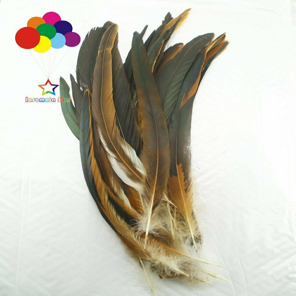 Natural 100 Pcs 12-14 Inch/ 30-35 cm Cock Chicken Tail Feathers DIY Crafts