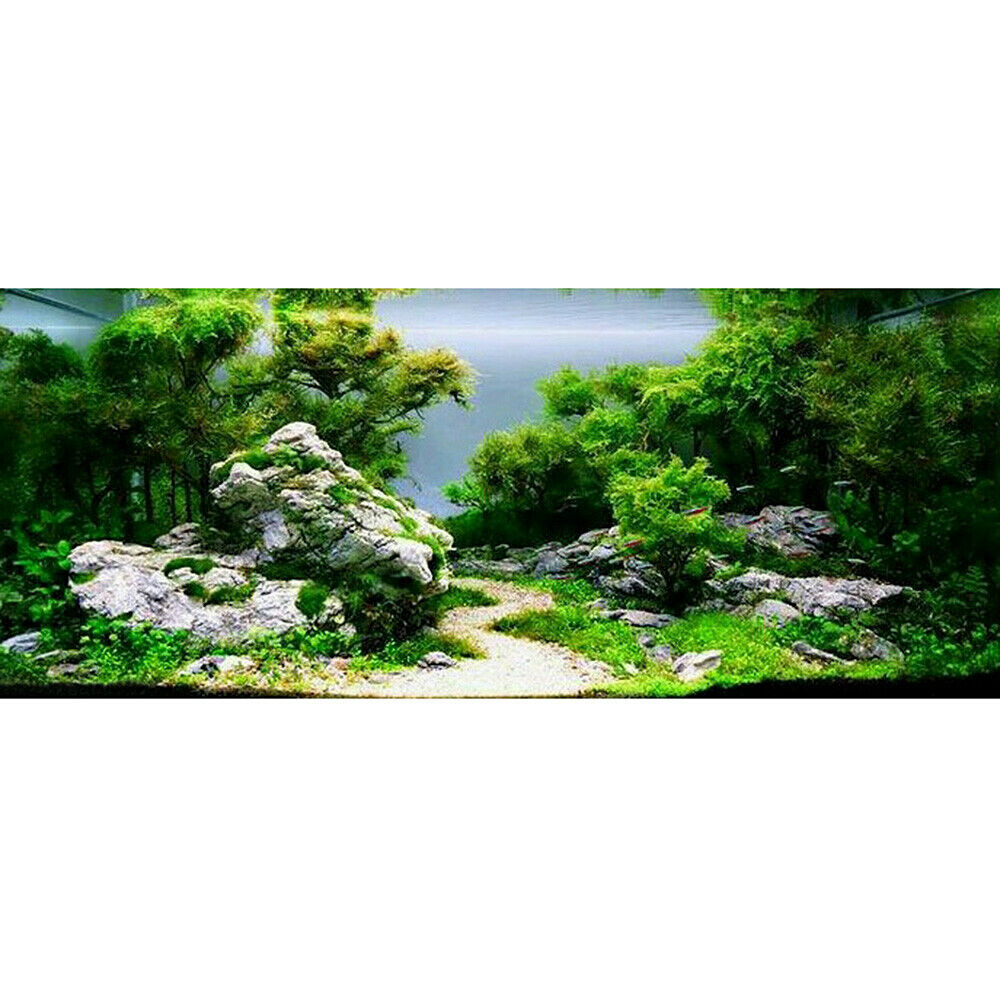 1PC Aquarium Driftwood Thai Branch Tree Plant Ornament Fish Tank Decor 20-50cm