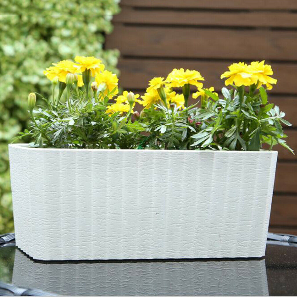 Self Watering Flower Pot Window Modern Planter Pot for All Indoor Plants