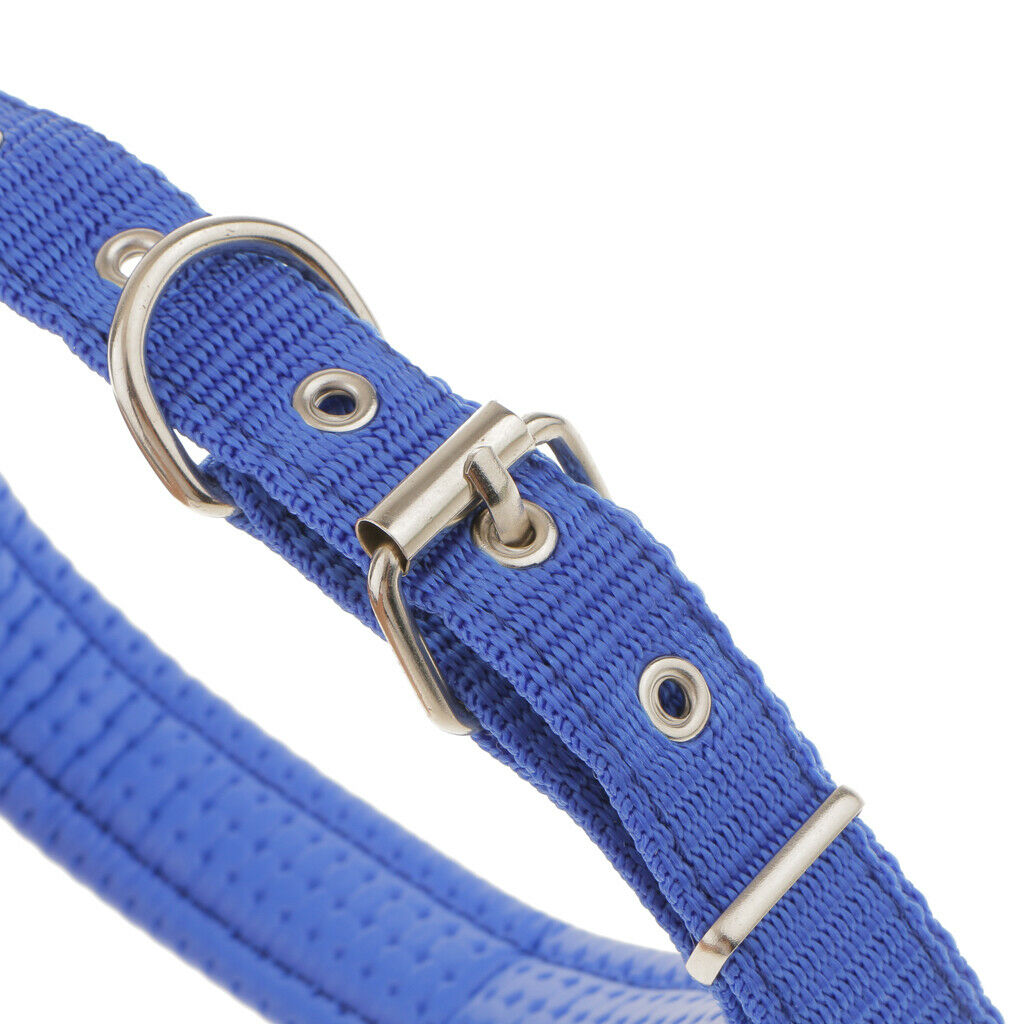 Adjustable Padded Nylon Pet Puppy Dog Basic Collar Safety Neck Strap Blue_S