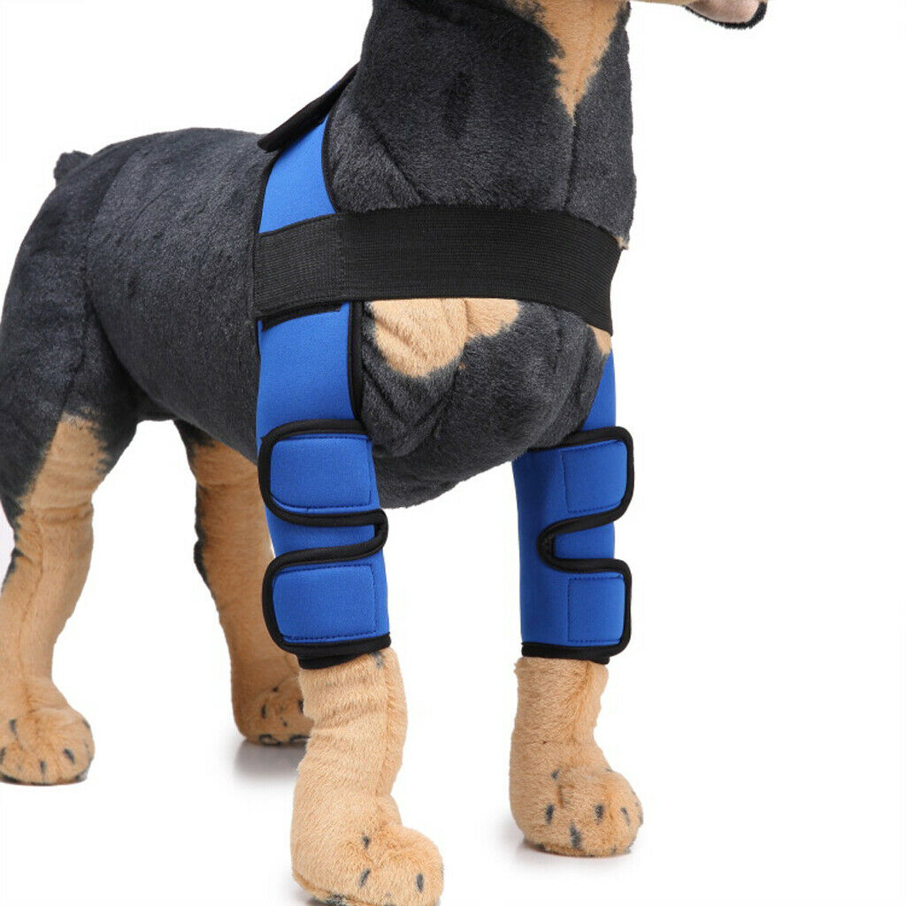 Dog knee joint support front leg compression strut protector blue - w