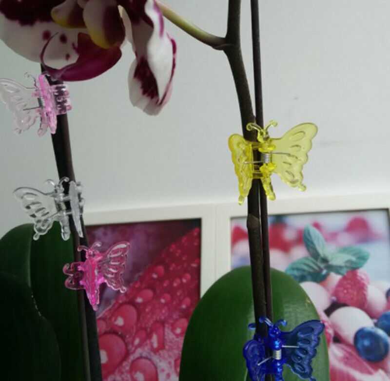 30Pcs/set Butterfly Orchid Clips Plant Clips Garden Flower Vine Support Clips