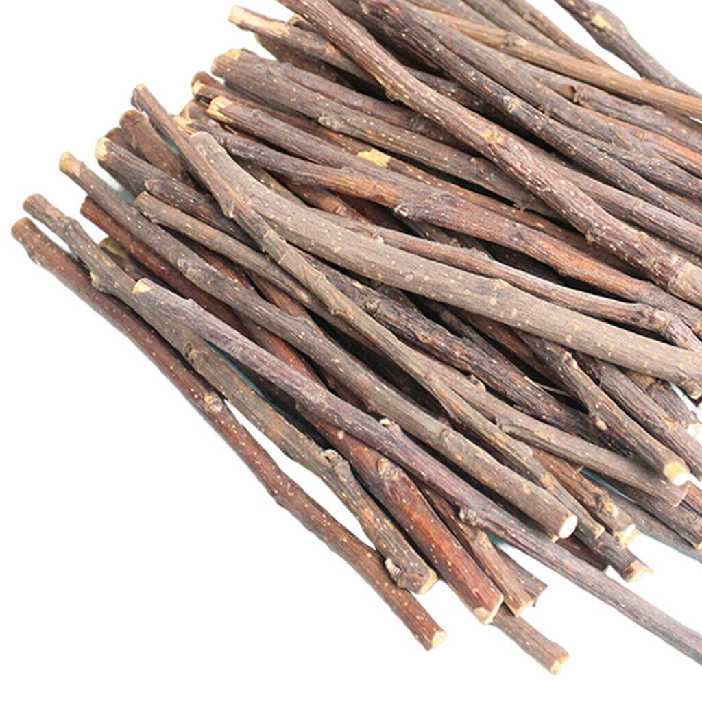 Wood Chew Sticks for Hamster Rabbits Chinchillas Squirrels Rodent Animals