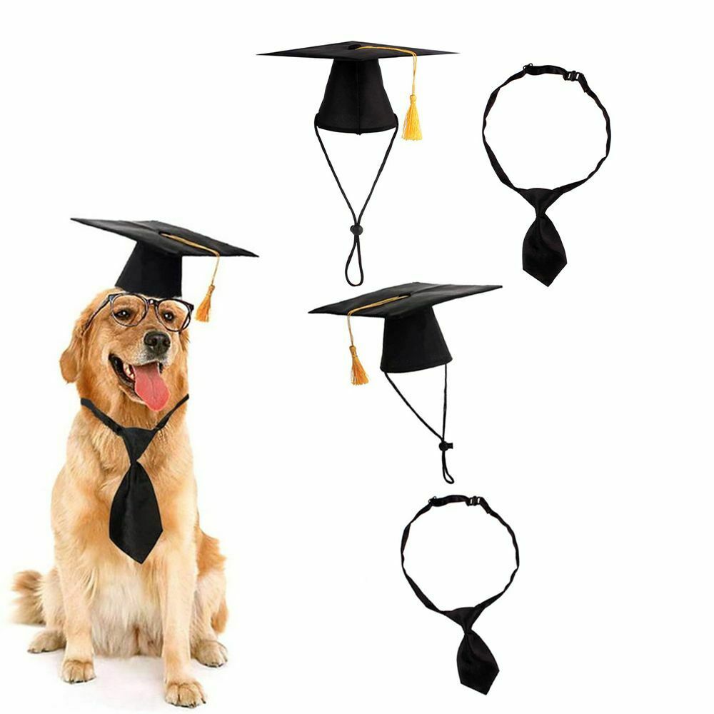 Hats Pet Graduation Outfits Dog Hat Photography Apparels Graduation Necktie