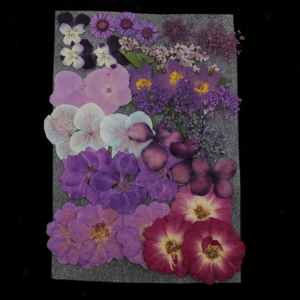 4Bag Lot Natrual Dried Flowers Pressed Leaves Embellishments for Accessories