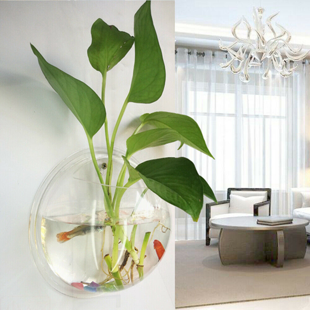 19.5cm Wall Mounted Hanging Fish Bowl Home Ornaments Tank Plant Flower Pot Vase