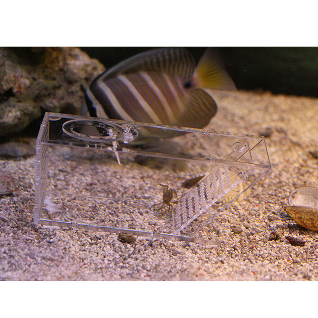 Clear Aquarium   Catcher Bait Box Aquatics Pest Trap Snail Trap, 14x6x6cm