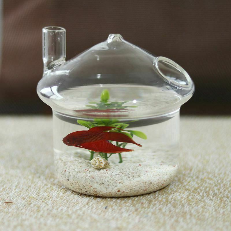 Mushroom-shaped Hanging Glass Planter Vase Rumble Fish Tank Terrarium ContaineD1