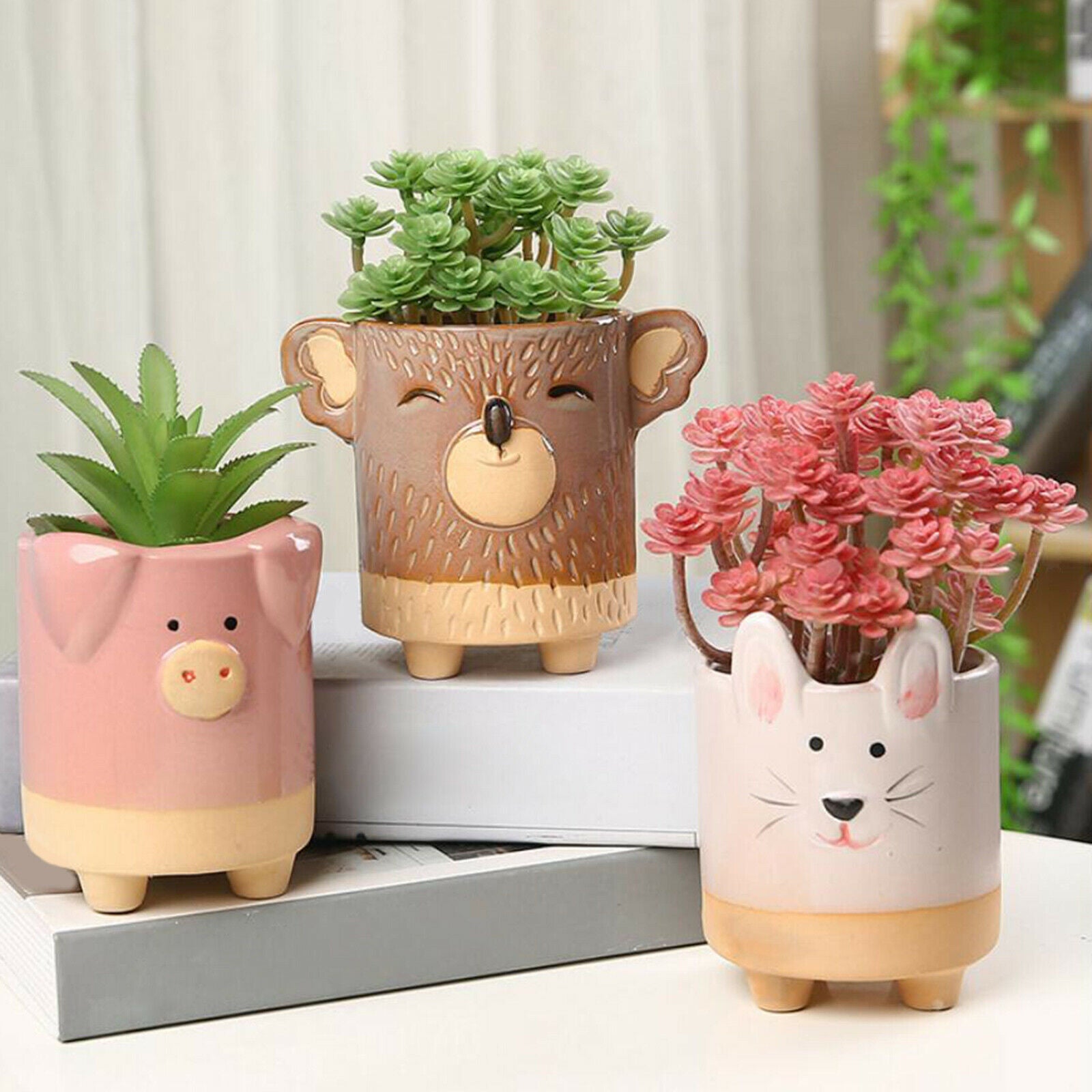 Flower Pot Animal Shaped Planters Pots 5pcs Koala Frog Desktop Decoration