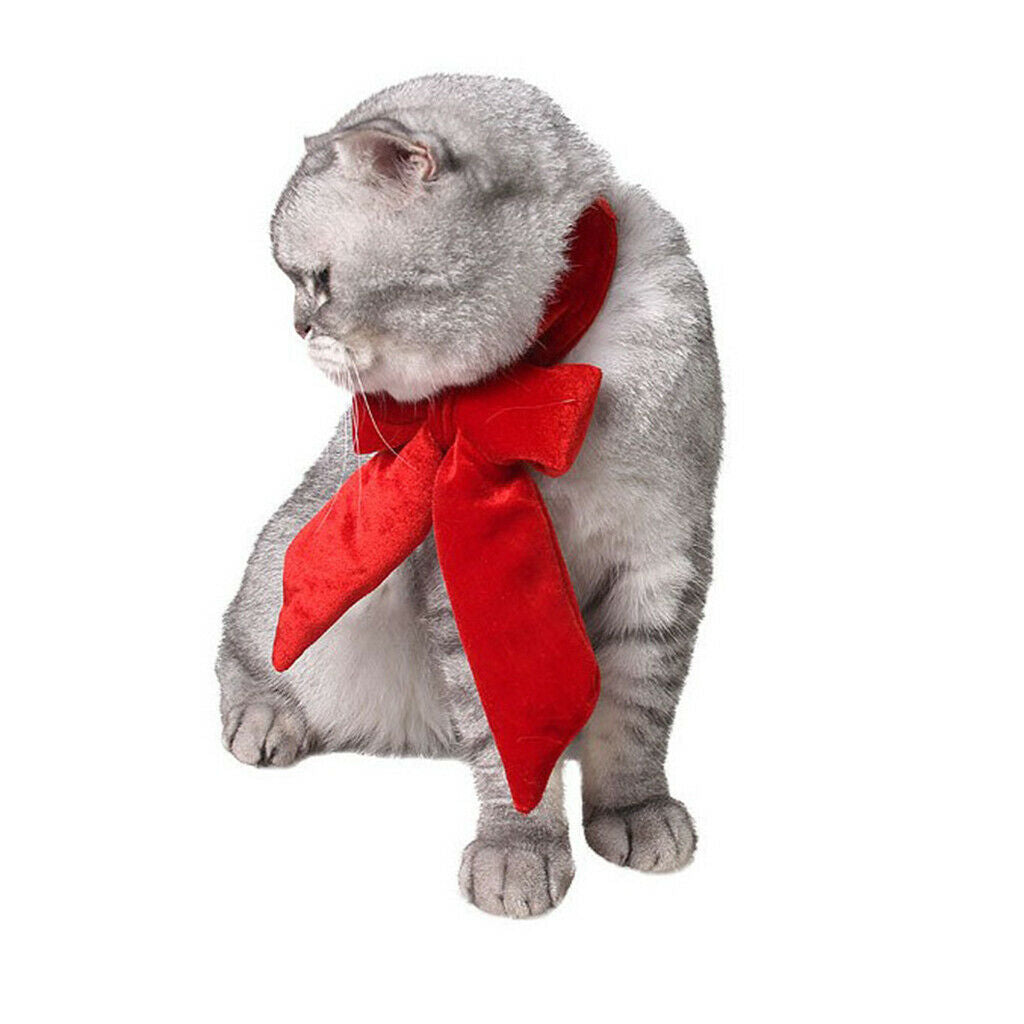 Dog Cat Big Bow Tie Adjustable Bowtie Necktie Collar Puppy Accessory Blue S