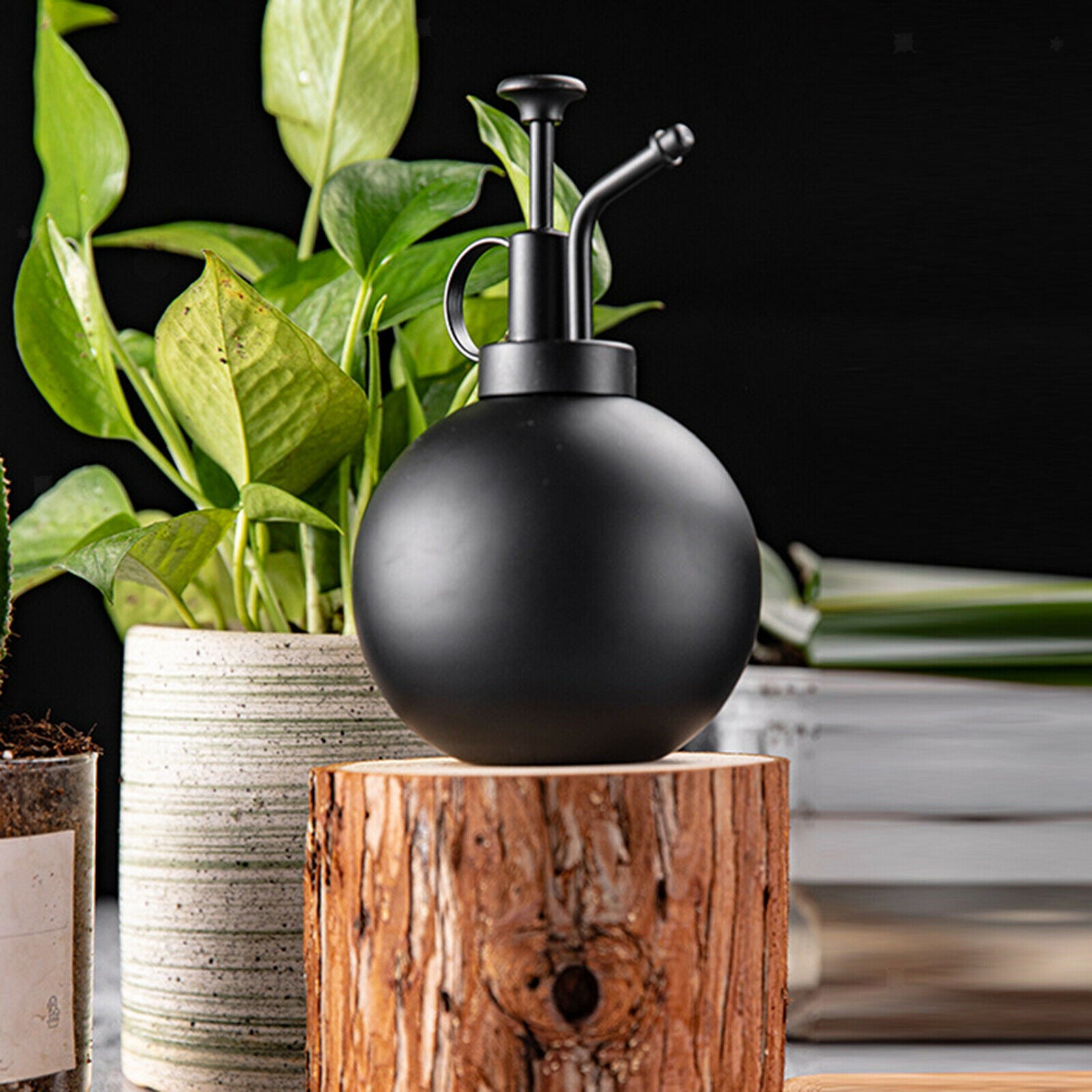 Watering Spray Bottle 6.3 Inches Tall Plant Mister Succulent Indoor Outdoor