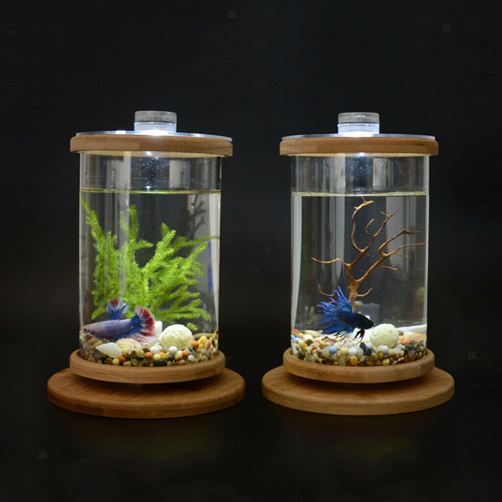360 Degree Rotatable Cylinder Clear   Tank Small Aquarium Desktop Decoration