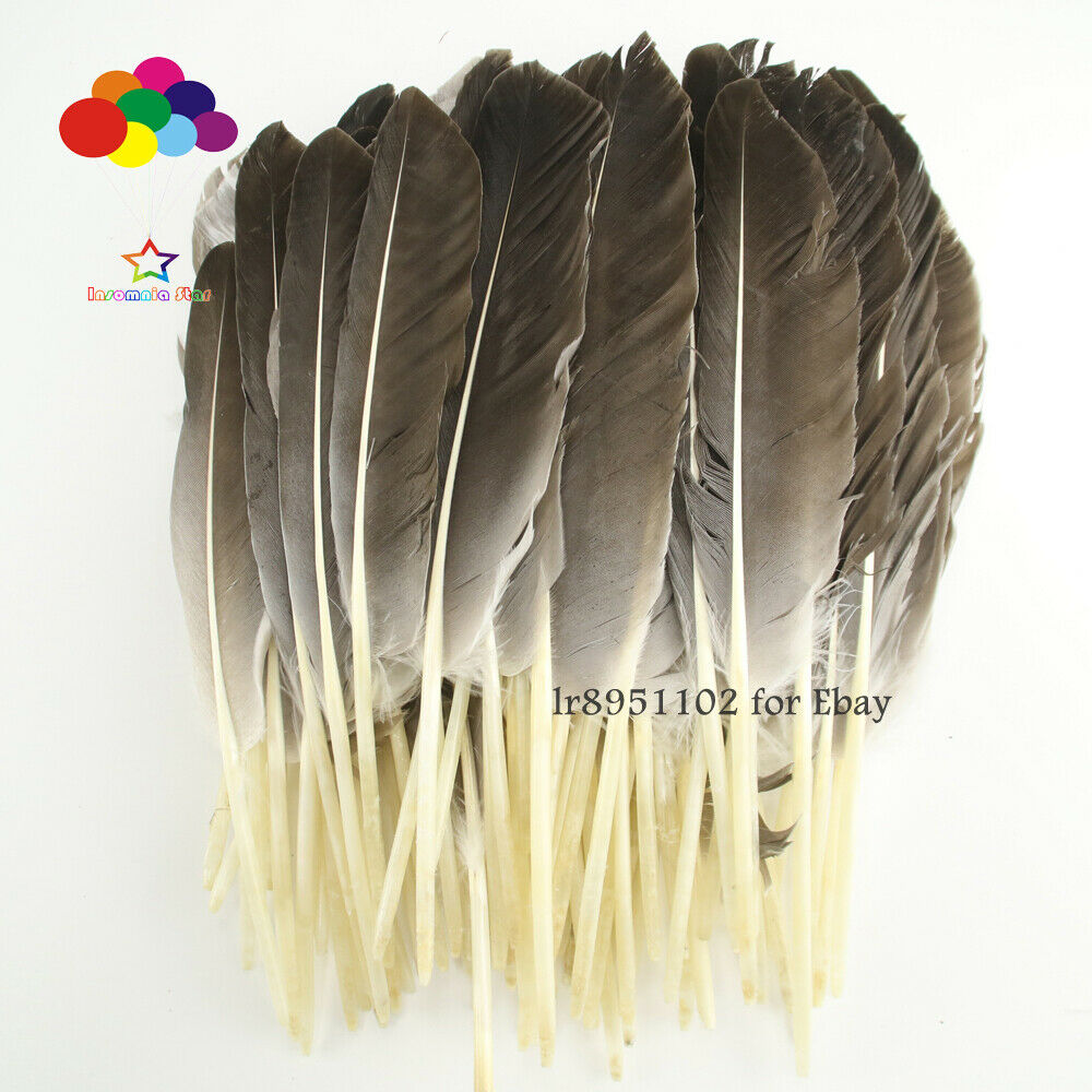 New 100 pcs precious wild turkey Duck wings feathers 25-30CM/10-12 inches