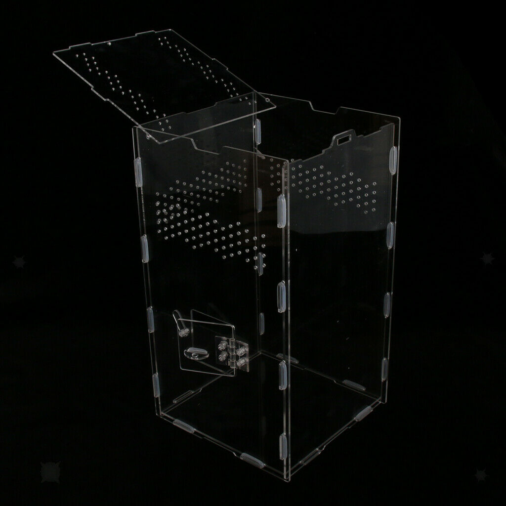Acrylic Reptile & Amphibian Terrarium Tank For Lizard Turtle Spider