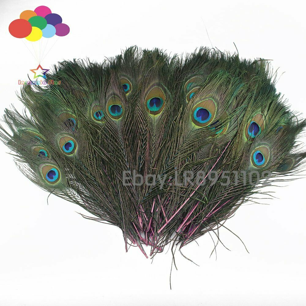 New 100 pcs/lot of beautiful Pink peacock feathers 25-30cm DIY weddings reunions