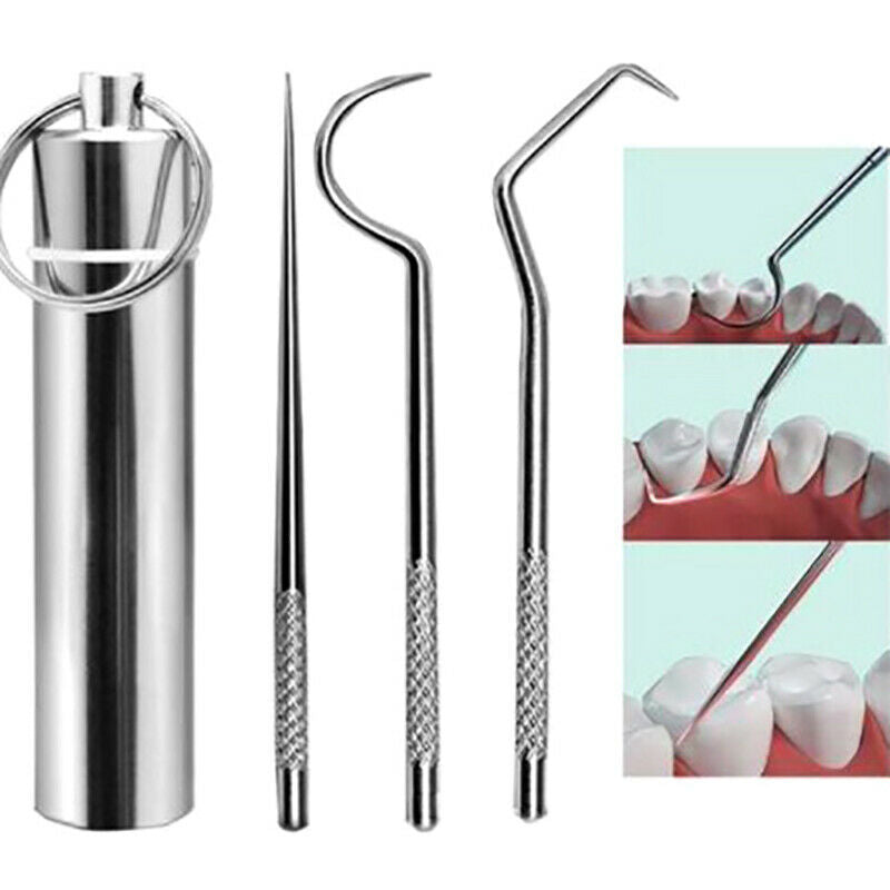 3pcs/set Stainless Steel Toothpick Oral Care Flossing Tool Portable KeychainFCA