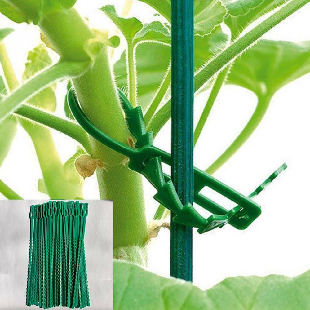 50PCS/SET Garden PLASTIC Plant CABLE TIES Adjustable Tree Climbing Support Tie