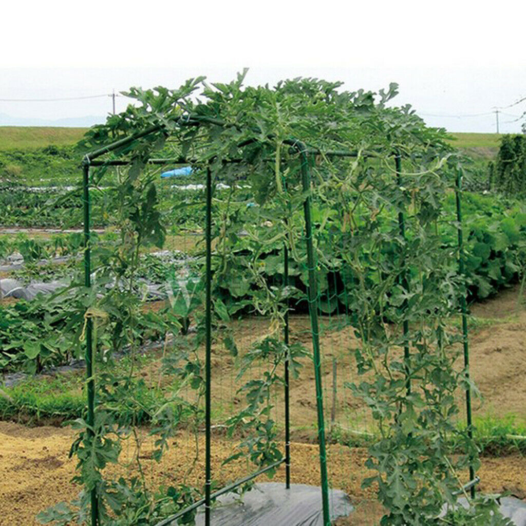 Set of 3 Nylon Resuable Plant Trellis Netting Support Vegetables &Fruits