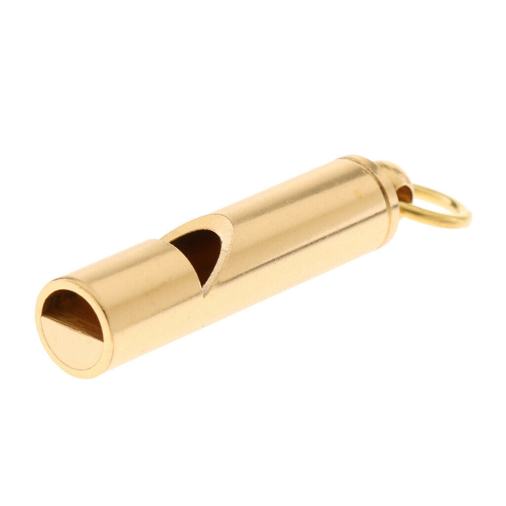 Professional Dog Whistle for Bark Control and Obedience Training Outdoor- Train