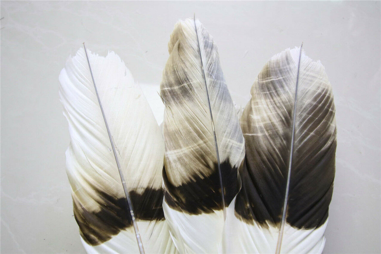 12pcs natural tail Feathers dyed coffee 12-16 inch/30-40 cm Carnival Diy costume