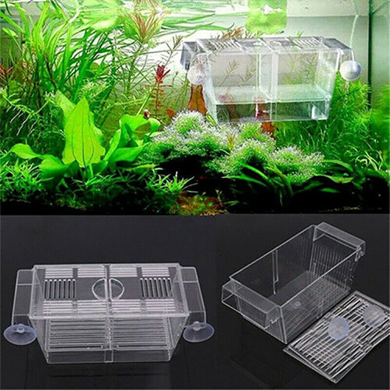 Aquarium Fish Tank Guppy Double Breeding Breeder Rearing Trap Box Hatcher.l8