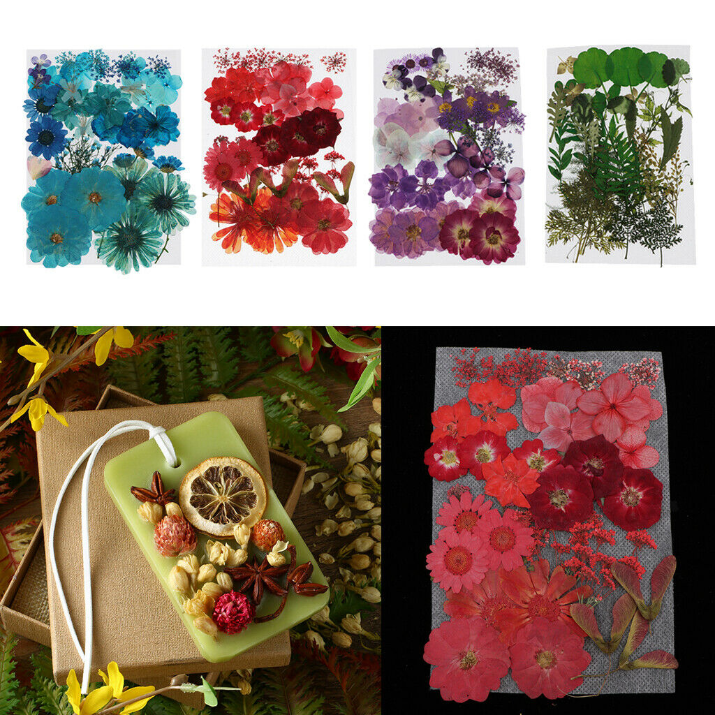 4Bag Lot Natrual Dried Flowers Pressed Leaves Embellishments for Accessories