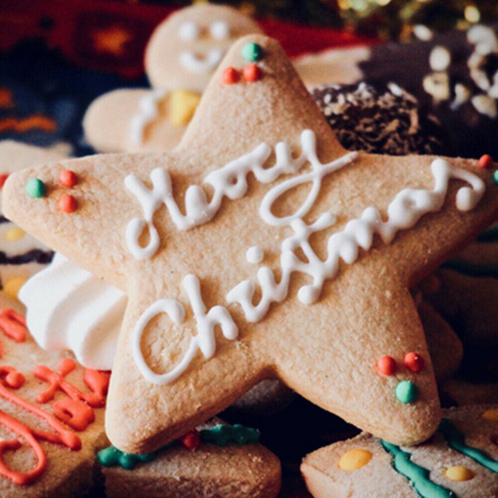 10Pcs Christmas Mould Cookie Cutter Stainless Steel Candy Biscuit Cooking Molds