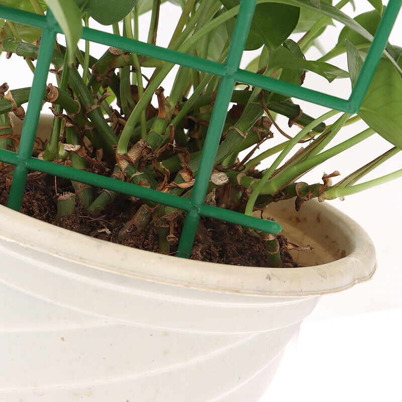 Garden Climbing Plastic Plant Support Frame Indoor Flower Plant Support Stand XC