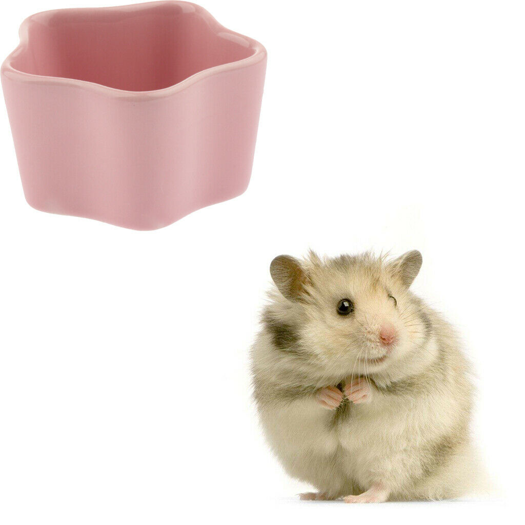 2 Pairs Hamster Bowl, Food and Water Ceramic Bowl for Rodents Gerbil Hamsters