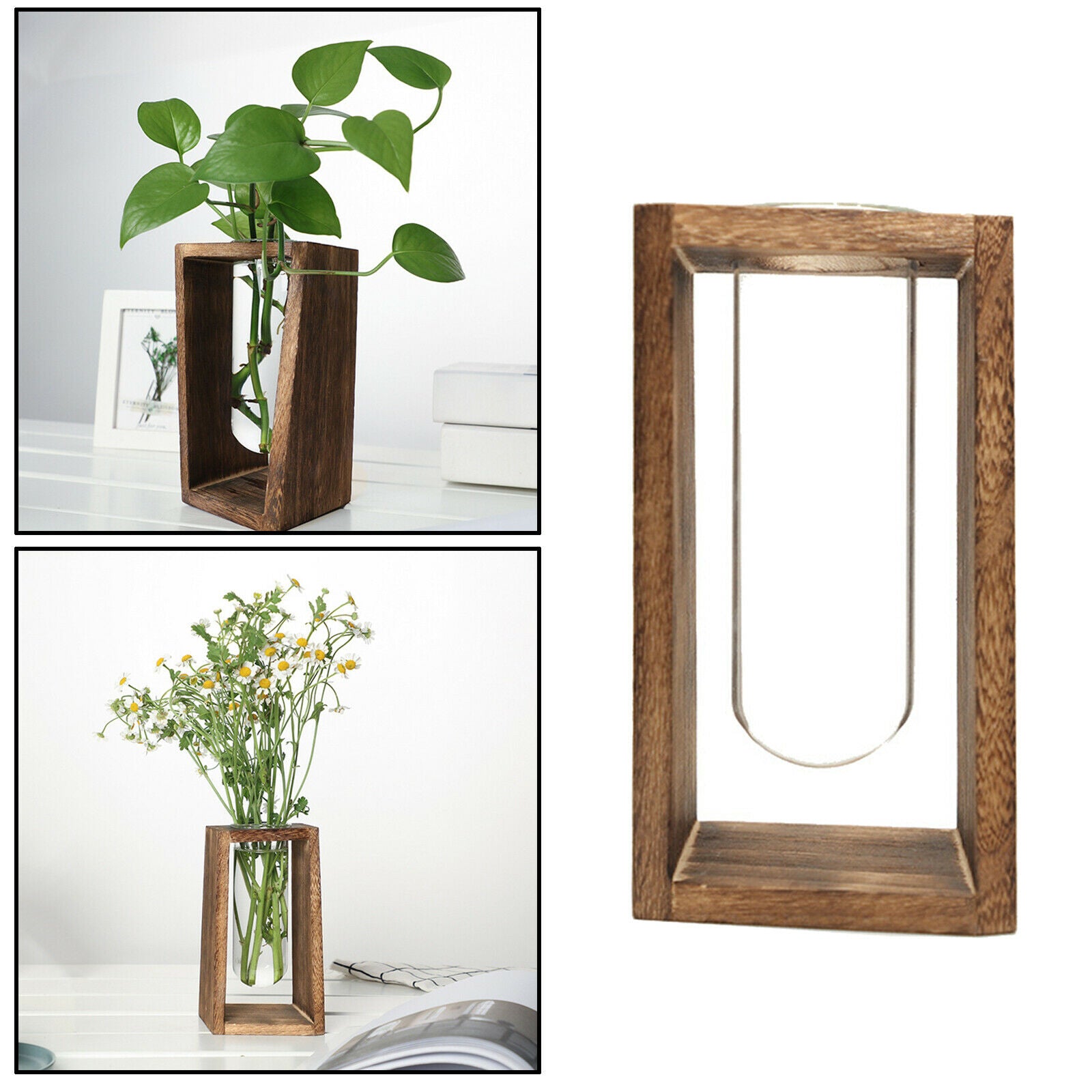 Glass Hydroponic Plant Vase Holder Container Bonsai Flower Pot Planter Home