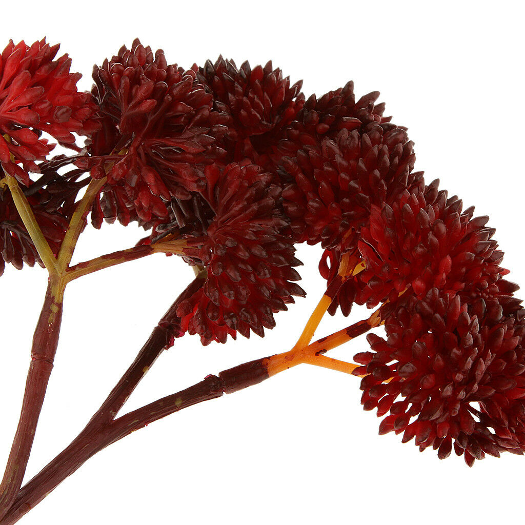 Artificial Fruit Succulent Grass Desert Plant Wedding Home Garden Decor Red