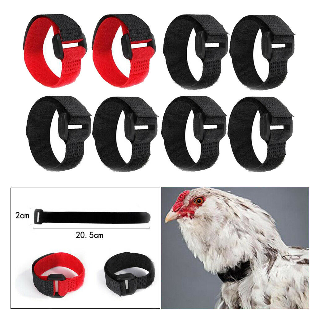 8 Pieces Chicken Collar Prevent Rooster from Screaming for Rooster Goose