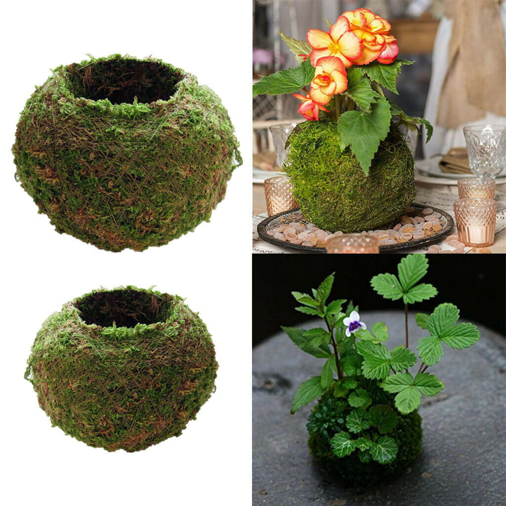 2 Piece Moss Ball Shape Flower Vase Flower Pot, Creative DIY Gardening Potted