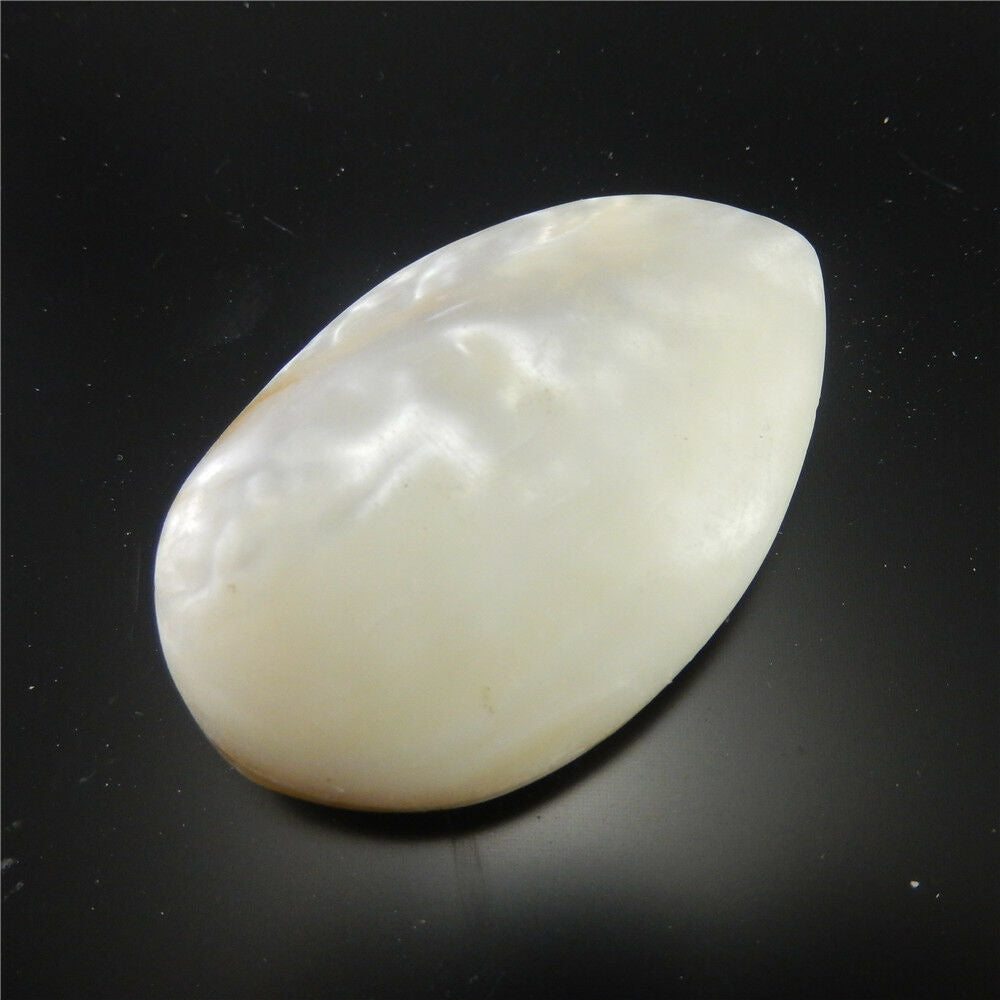 1X Natural Clam Shell Seashell Aquarium Ornament Nautical Fish Tank Decor 7-8cm
