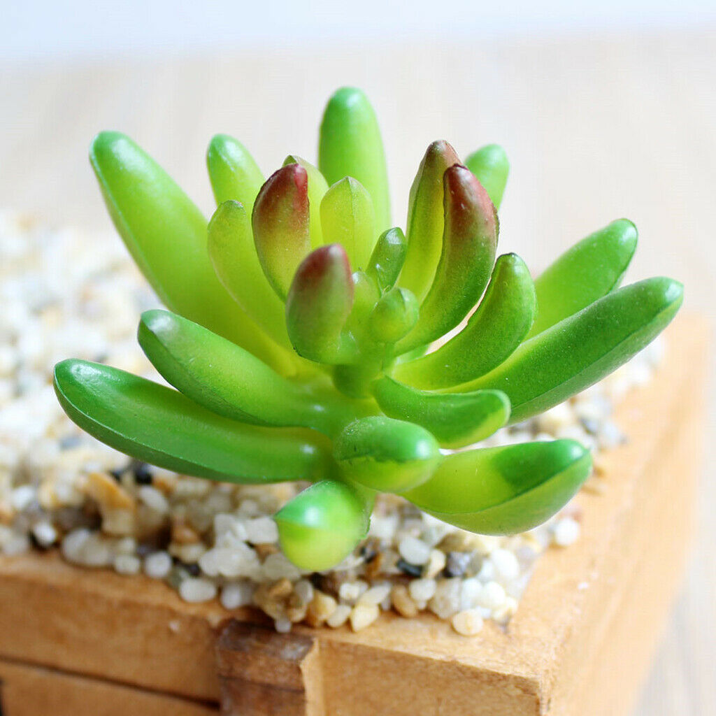 2 Pieces. Artificial Succulents Decoration, Pink + Green