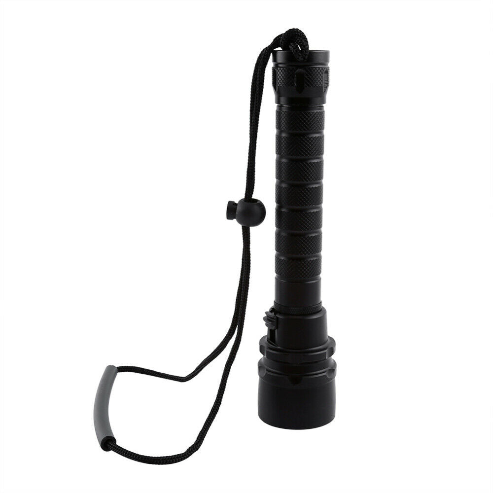 Waterproof 2000LM LED Diving Flashlight Underwater 100M Torch Light 30W