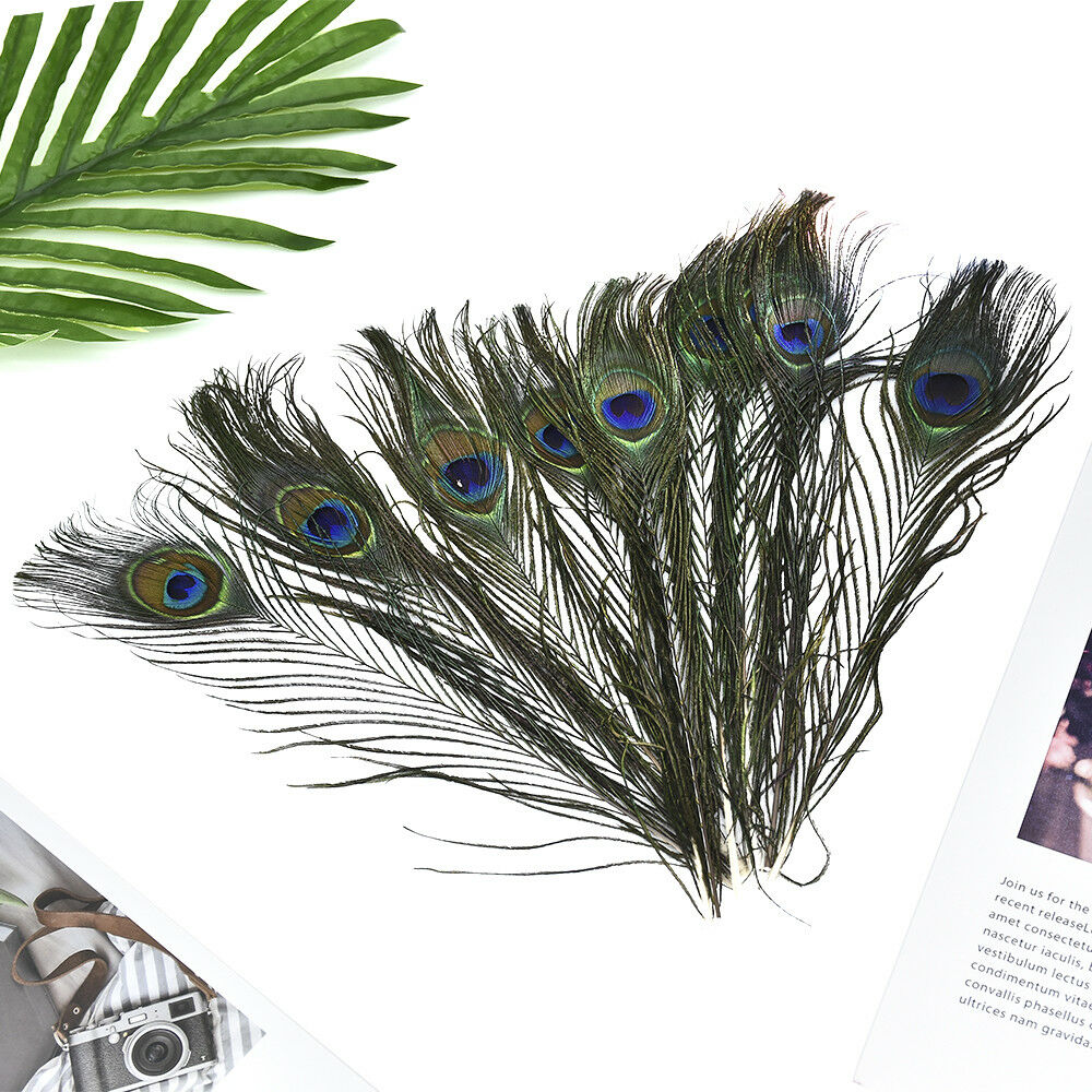10Pcs DIY Natural Peacock Tail Feathers Wedding Festival Party Home Decoration