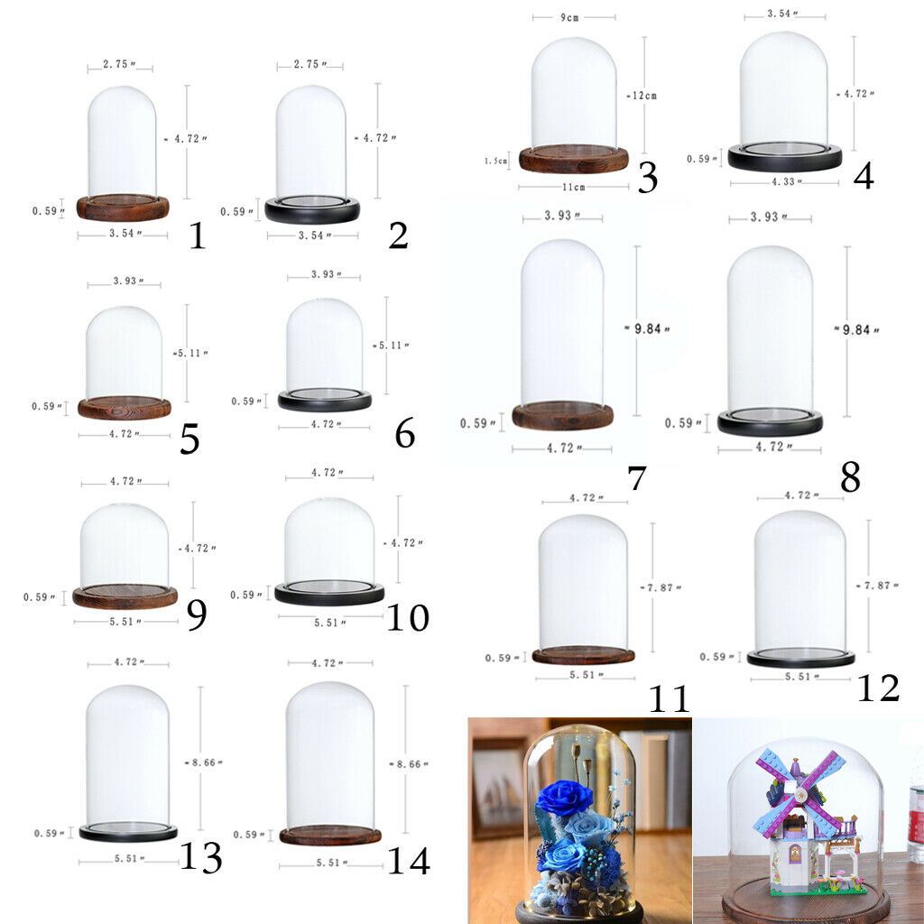 Dust-proof Glass Toys Holder w/ Lid and Base for Home Micro Landscape Decor