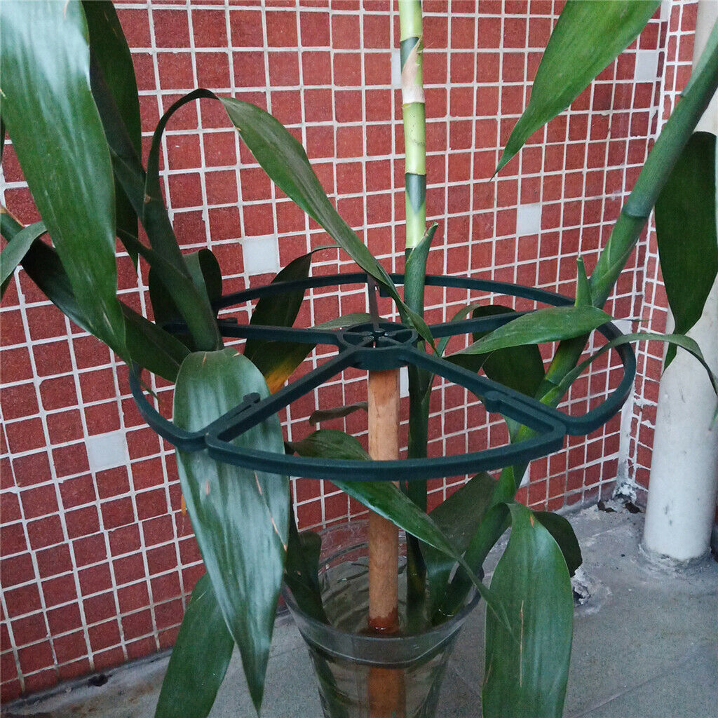 2pcs Indoor Plant Support Ring Flower Plants Care Tools for Potted Plants
