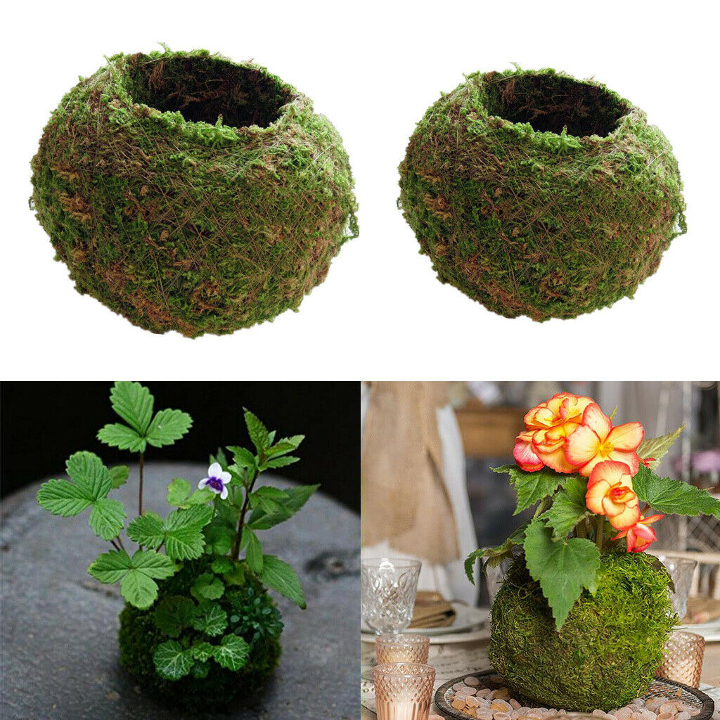 2pcs 9CM,12CM Moss Ball Flower Pot Planter Bonsai Plant Holder Home Garden