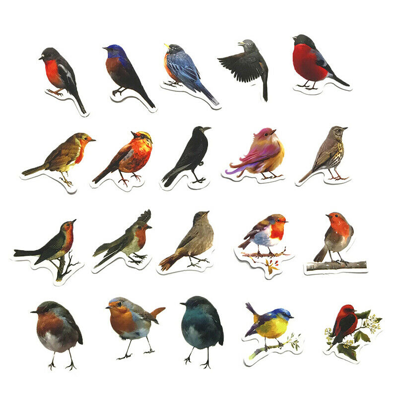 40Pcs/set Robin Birds Decorative Stickers Adhesive Stickers DIY Diary Sta.l8