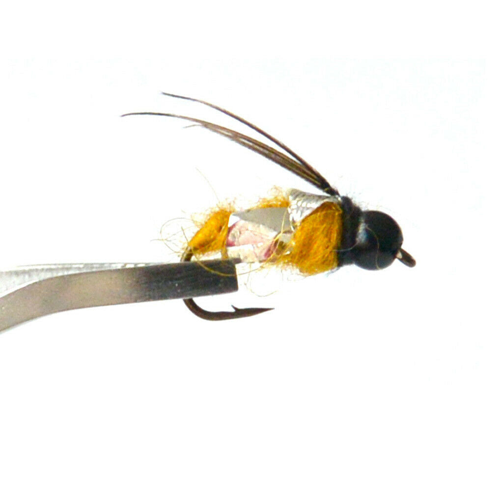 40Pcs Fly Tying Fishing Lures Feather Flies with Box  Dry Flies B Style