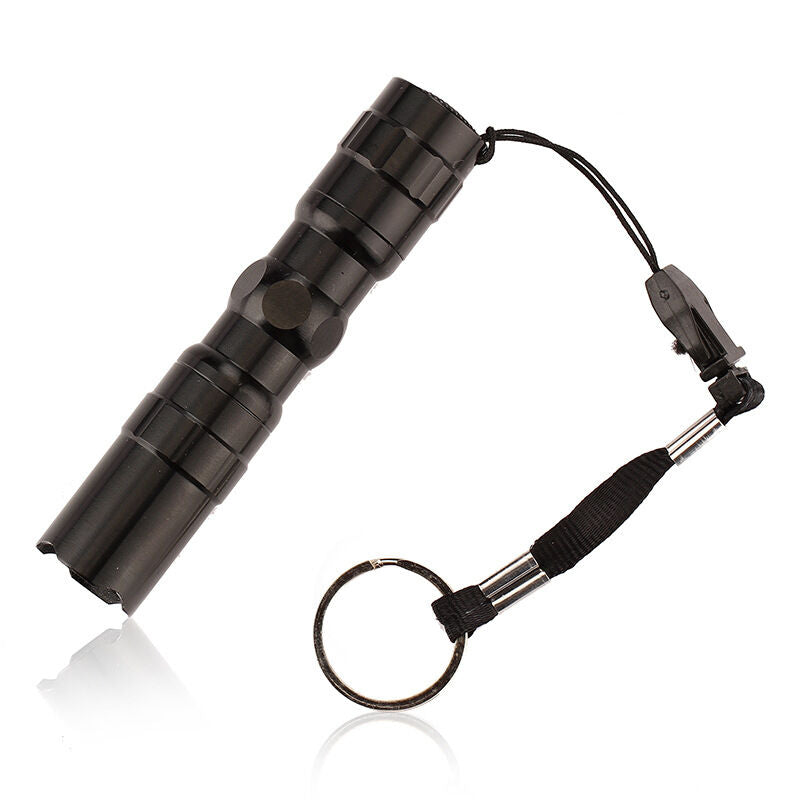 Waterproof Super Bright LED 1.5V AA Battery Flashlight Torch Lamp Key Ring Chain