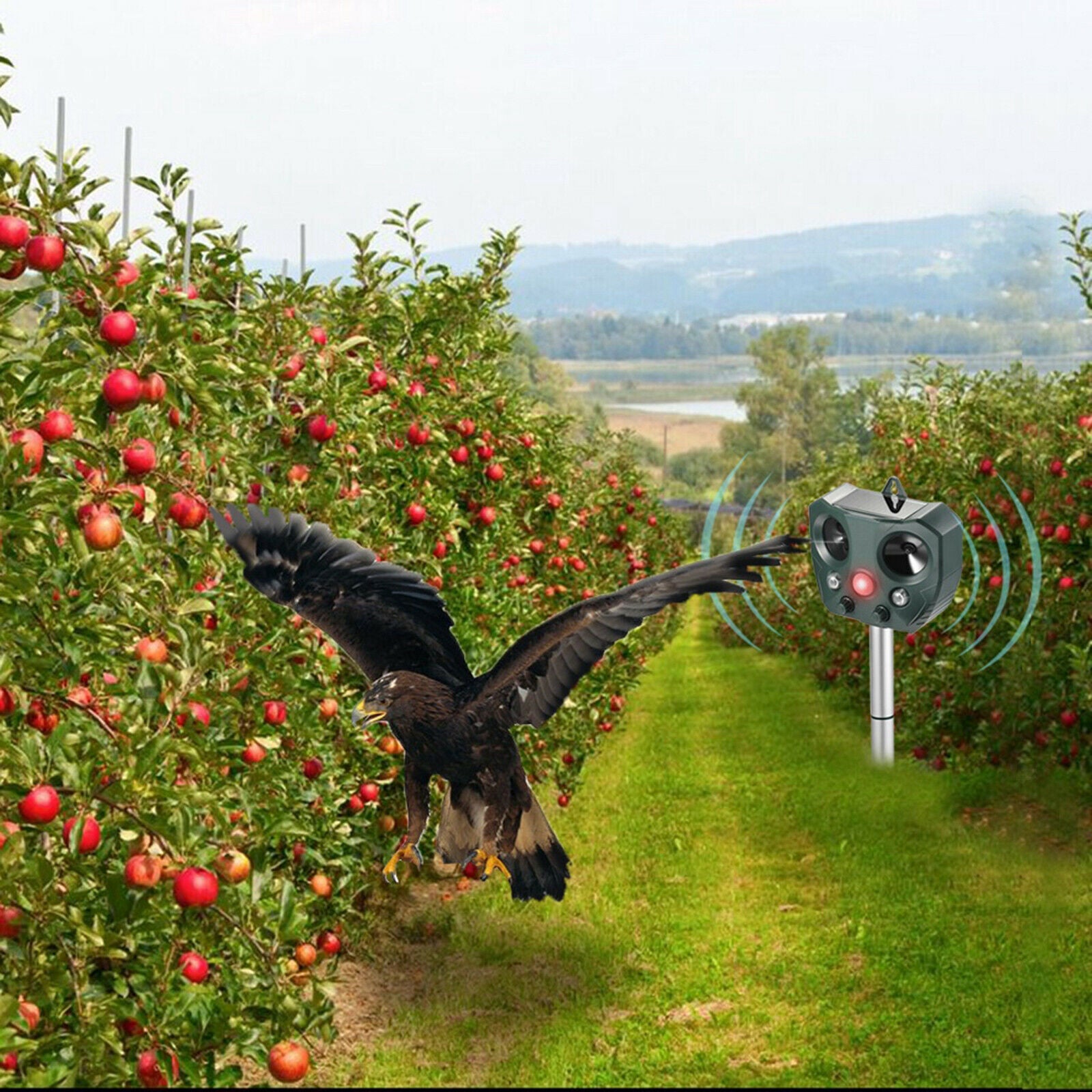 Outdoor Ultrasonic Animal Repeller Raccoon Cat Dog Fox Scarer Repellent