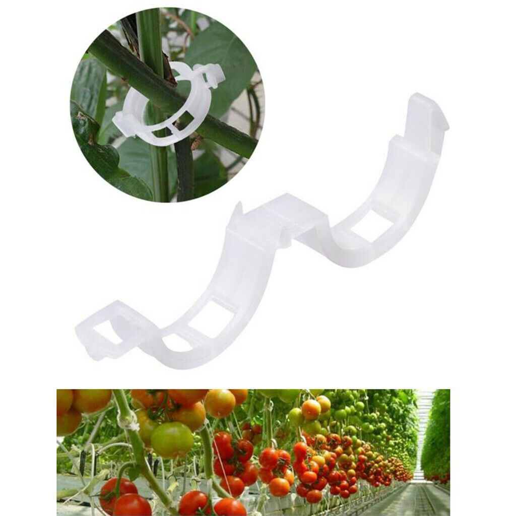 100pcs Greenhouse Trellis Clips for Tomatoes Windingproof Upright Grow Hooks