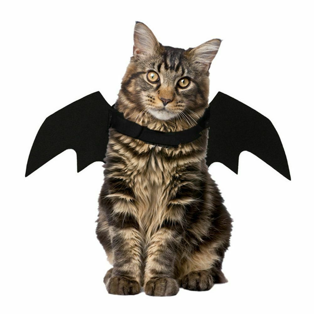 Bat Wings Cat Vest Cat Costume Halloween Decorations Cat Wings Pet Clothes