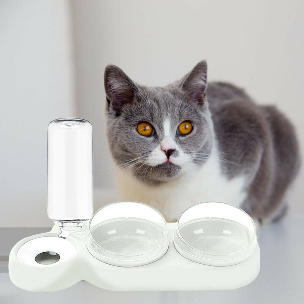 Dog Cat Bowls Feeder Puppy Kitten Foods Dispenser Drinker Containers White