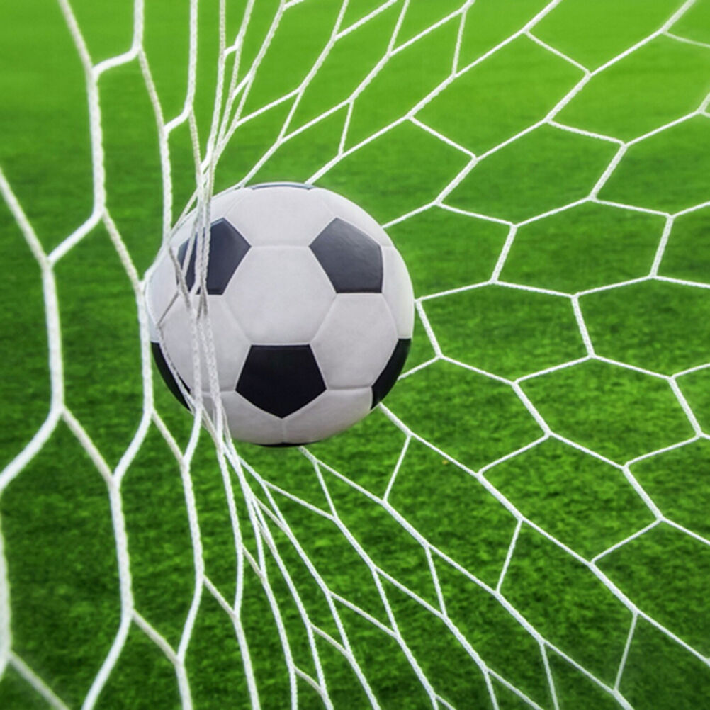Football Net Full Size 24 x 8ft 7.3x2.4m Match Soccer Goal training 800 DD