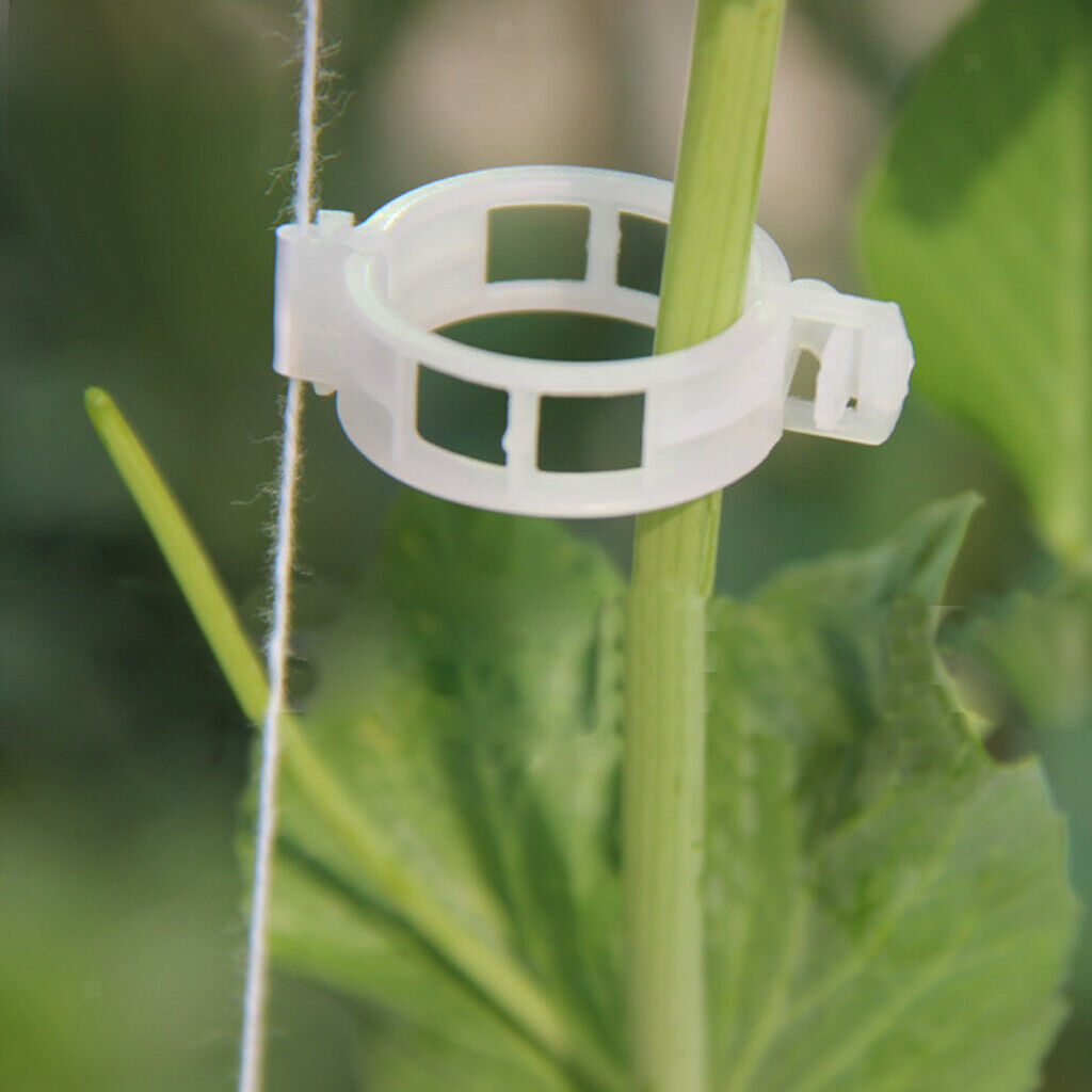 300x Plant Vine Tomato Stem Clips Supports