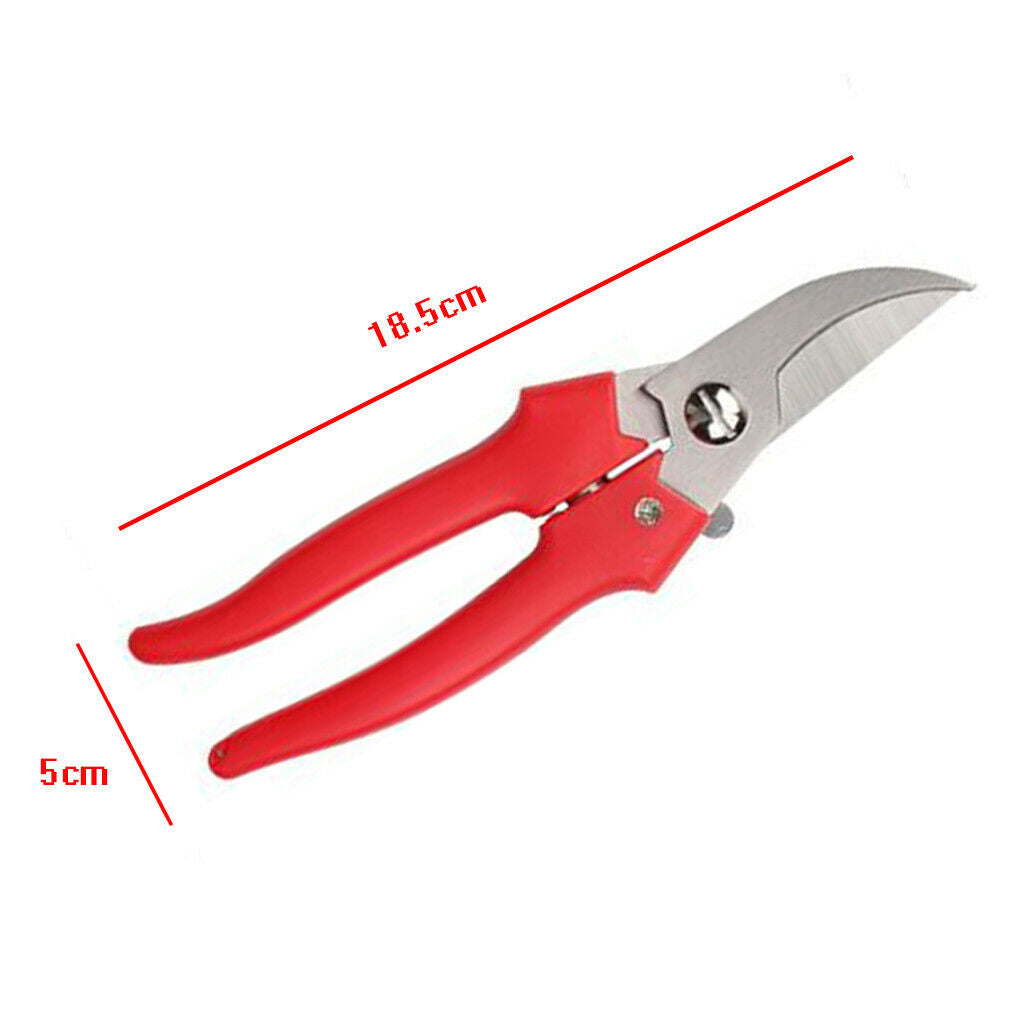 Garden secateurs, professional stainless steel pruning shears